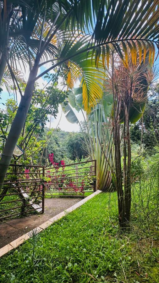 Macaco Prosa Hotel Macacos  Ngoại thất bức ảnh